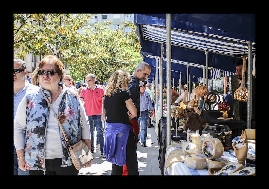 Fotos: Amurrio celebra la vigésima edición del Txakoli Eguna