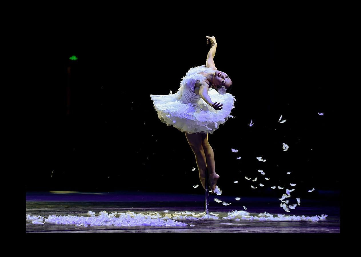 La popularidad del «Pole Dance», también conocido como baile de barra o barra americana, ha crecido extraordinariamente en los últimos años. En la actualidad es reconocido como una forma de arte escénico y de gimnasia aeróbica y anaeróbica que se practica en escuelas de gimnasia de todo el mundo. En 2005 se celebró el primer campeonato mundial de Pole Dance en Amsterdam. La World Pole Federation, que aglutina a más de 40 países, eligió este año como escenario de la competición la ciudad china de Tianjin, donde están tomadas las fotografías.
