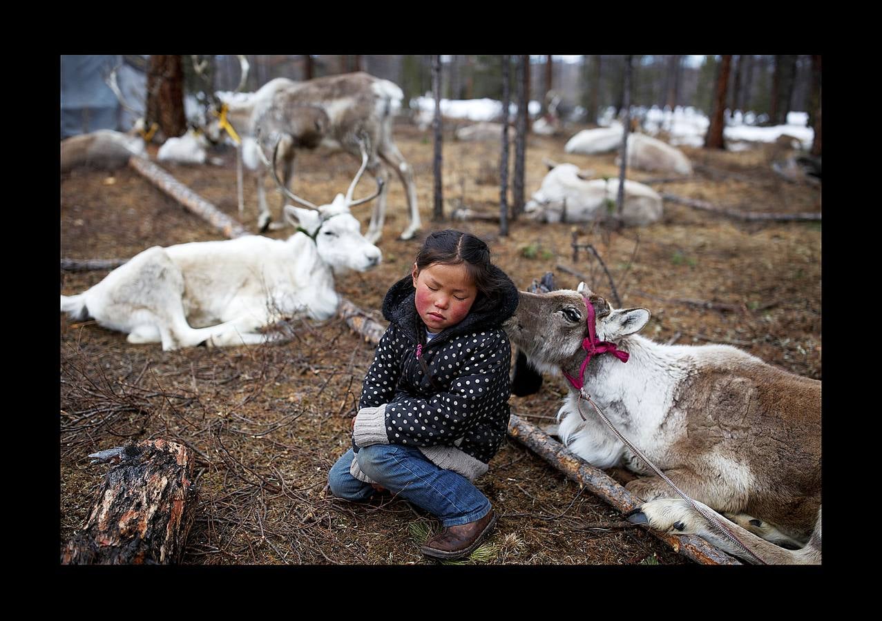 Los Dukha son un pueblo que sobrevive de la caza y pastoreando renos en las montañas Sayan, en Mongolia, una zona que se extiende a ambos lados de la frontera con Rusia. En 2012 el gobierno decidió que buena parte de sus tierras se convirtieran en parque nacional para proteger el ecosistema. La medida acabó con cuotas de caza establecidas en la era soviética, que permitían su sustento y la conservación de la vida natural, y los forzó a capturar animales como el alce y el ciervo rojo en un número que hacía difícil su subsistencia. Ahora, los Dukha reciben una compensación por la prohibición de la caza, pero muchos sienten que han perdido su identidad. 