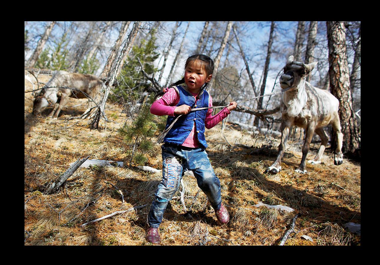 Los Dukha son un pueblo que sobrevive de la caza y pastoreando renos en las montañas Sayan, en Mongolia, una zona que se extiende a ambos lados de la frontera con Rusia. En 2012 el gobierno decidió que buena parte de sus tierras se convirtieran en parque nacional para proteger el ecosistema. La medida acabó con cuotas de caza establecidas en la era soviética, que permitían su sustento y la conservación de la vida natural, y los forzó a capturar animales como el alce y el ciervo rojo en un número que hacía difícil su subsistencia. Ahora, los Dukha reciben una compensación por la prohibición de la caza, pero muchos sienten que han perdido su identidad. 