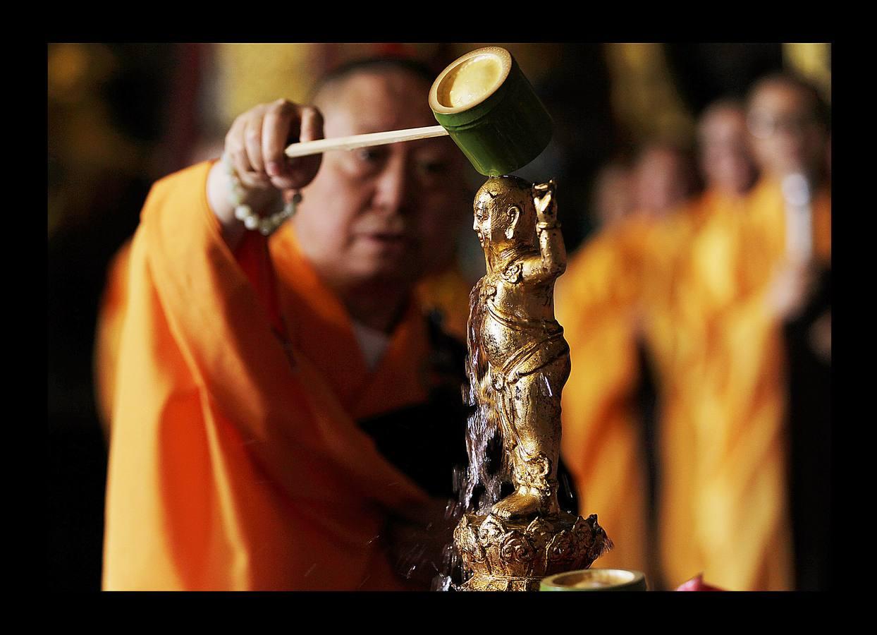 El Vesak, el día del plenilunio en el mes de mayo, es la fecha más destacada para millones de budistas de todo el mundo. Hace 2.500 años, más exactamente en el 623 A.C., nació Buda, en ese mismo día alcanzó la iluminación y también en ese mismo día falleció, a los 80 años de edad. En todos los países de Asia con fuerte presencia del budismo suele ser festivo y quienes lo profesan hacen ofrendas y acuden a los templos para celebrar su mensaje de compasión, devoción y servicio a la Humanidad. En las imágenes se recogen aspectos de esta celebración en Singapur, Indonesia y China.