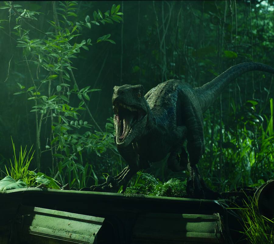 Fotos: La nueva entrega de &#039;Jurassic World&#039;, en imágenes