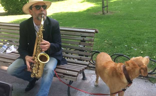 El perro que canta jazz