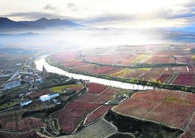 Imagen secundaria 1 - Arriba, las amapolas enmarcan el puente de Briñas. Abajo a la izquierda, el espectacular meandro del Ebro, flanqueado por viñedos. Abajo a la derecha, Ruinas en Tondón.