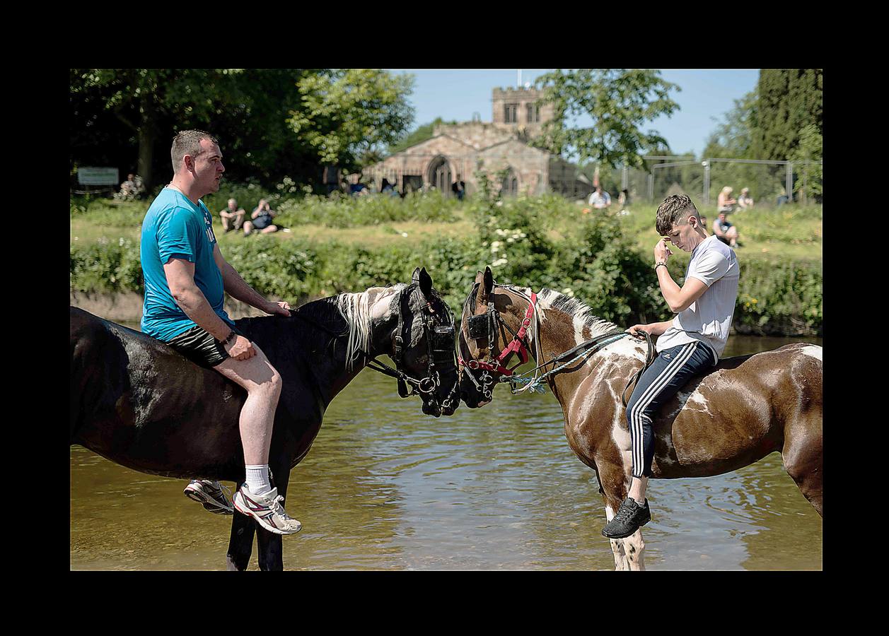 Alrededor de 10.000 personas se han reunido estos días en la localidad de Appleby, en Cumbria, uno de los condados del Reino Unido, para celebrar la feria del caballo. El evento, que según parece data de 1775, es uno de los encuentros clave para los miembros de las comunidades gitanas y una oportunidad para comprar y vender caballos y mercancías. Buena parte de los viajeros llegaron a bordo de caravanas de madera cubiertas de elementos decorativos propios de la tradición británico-romaní, que han producido quejas y atascos en las carreteras. Pero la tradición se mantiene y, como siempre, los caballos se sumergieron en el río Eden para refrescarse.