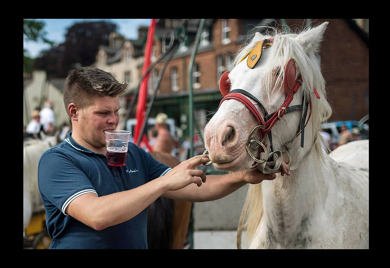 Alrededor de 10.000 personas se han reunido estos días en la localidad de Appleby, en Cumbria, uno de los condados del Reino Unido, para celebrar la feria del caballo. El evento, que según parece data de 1775, es uno de los encuentros clave para los miembros de las comunidades gitanas y una oportunidad para comprar y vender caballos y mercancías. Buena parte de los viajeros llegaron a bordo de caravanas de madera cubiertas de elementos decorativos propios de la tradición británico-romaní, que han producido quejas y atascos en las carreteras. Pero la tradición se mantiene y, como siempre, los caballos se sumergieron en el río Eden para refrescarse.