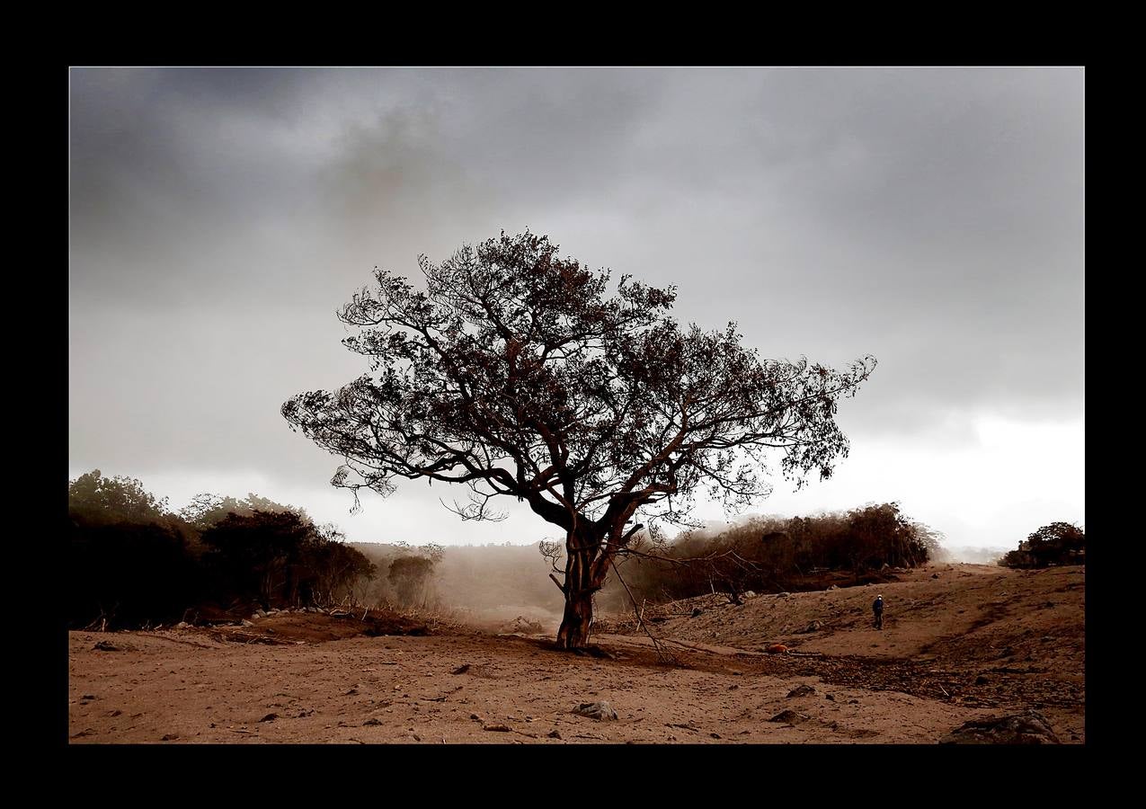 Los niños abandonaron los juguetes, la ropa quedó colgada en los tendederos de los patios traseros y los animales murieron petrificados. Después de la erupción, el exuberante paisaje verde se convirtió en un cementerio gris polvoriento, envuelto en un persistente olor a azufre... Toneladas de árboles, rocas y gases tóxicos se deslizaron por los flancos del Volcán de Fuego formando lo que se conoce como «flujo piroclástico,» que alcanza velocidades más rápidas y letales que la lava. Cuando las familias de las aldeas más afectadas -El Rodeo y San Miguel de Los Lotes, en el centro de Guatemala- se dieron cuenta de lo que sucedía, no tuvieron tiempo de huir. 