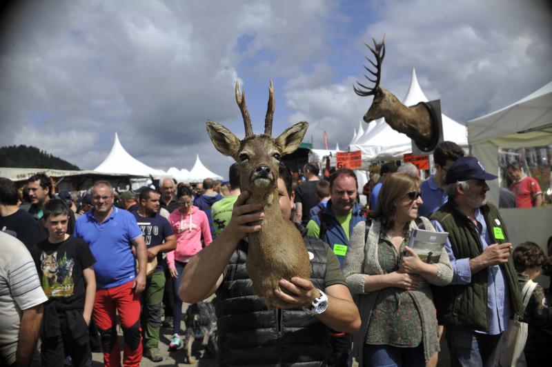 La localidad vizcaína de Dima acoge hoy la XXVI edición del día del Cazador y Pescador. Cientos de personas han acudido a la cita que aúna las reivindicaciones del colectivo con distintas actividades de caráter lúdico
