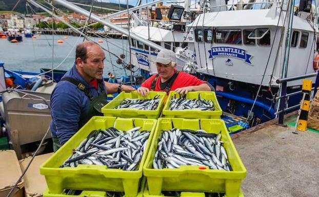 Podrán captura 500.000 kilos de anchoas que quedan del remante de cuota . 