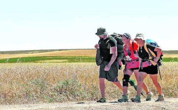 Unos peregrinos se dirigen hacia la localidad de Carrión de los Condes, en el paso del Camino de Santiago por Palencia.