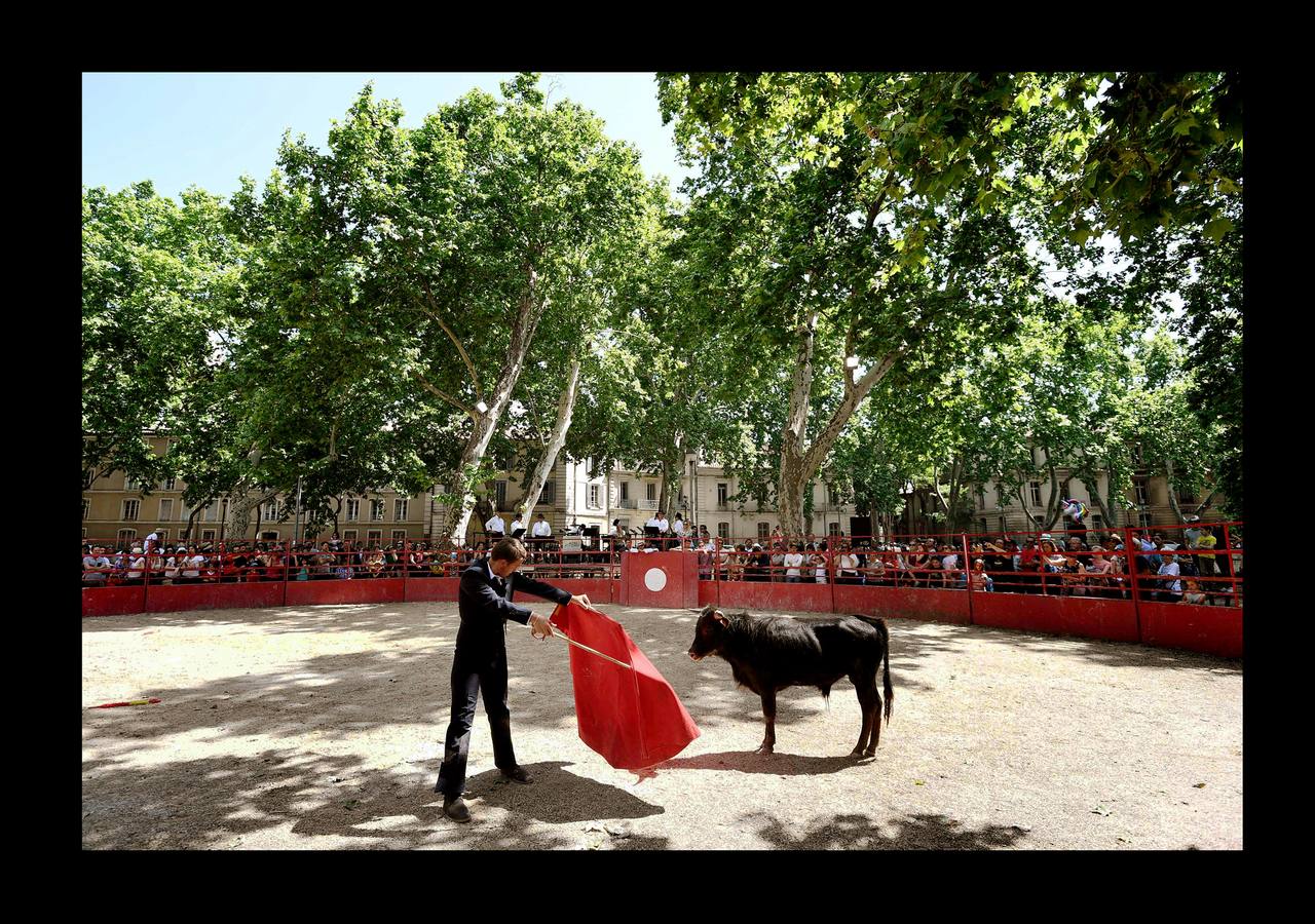 Parte de la vida en las pequeñas ciudades de la Camarga, en Francia, gira en torno a los toros y cada pueblo tiene su propio festival taurino en verano, con corridas y muchos eventos en las calles. En Le Cailar, una localidad en el distrito de Nimes, un monumento funerario recuerda con una fotografía a «Le Sanglier,» un toro de lidia, que vivió entre 1916 y 1933. El Centro Francés de Tauromaquia sigue cultivando la pasión por la tauromaquia, y cada miércoles y sábado organiza una práctica con jóvenes aficionados en la placita de Garons, cerca de Nimes. Las fotografías han sido tomadas en esta localidad y en Franquevaux.