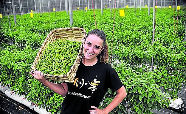 Imagen principal - 1. Patricia Guitérrez en el invernadero de La Gilda del Norte en Lezama| 2. Jornada de una edición anterior. 3. Una niña acaricia a un ternero de una explotación ganadera de Irun.