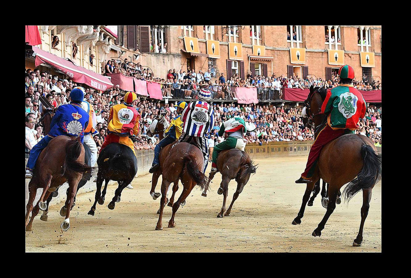 En la Piazza del Campo, en pleno corazón de Siena, en la Toscana, se celebra cada año, en dos ocasiones (las fotografías se tomaron el 2 de julio), la carrera de caballos de origen medieval conocida como «Il Palio.» La ciudad se engalana con estandartes, blasones y guirnaldas para celebrar tres días de alegría durante los cuales, además de participar en las bendiciones de los animales, es posible disfrutar de música y conciertos. En la carrera participan diez caballos, que representan a alguna de las «contradas» o distritos de la ciudad, y han de dar tres vueltas completas a la Piazza del Campo. El primero en terminarlas, con o sin jinete, será el ganador.