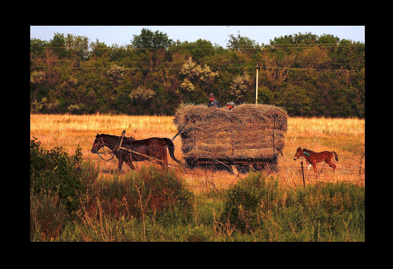 En Aleksandrovka, una aldea de 1.500 habitantes, el campo de fútbol está en el centro de muchas relaciones. Bajo la mirada firme de Lenin, el pequeño campo construido hace cinco años como regalo de la ciudad de Samara sirve a la comunidad para que los jóvenes imiten las habilidades de sus héroes del balón. Sin embargo, para algunos campesinos de la región, la Copa del Mundo es su primer encuentro con el fútbol. Irina Aleekseva, que vive sola en una vieja casa de madera (aparece desplumando una gallina), ha visto las noticias para conocer el juego y relacionarse con sus nietos, que la visitan para ayudarla con la granja. «Debería ser una abuela moderna y saber quiénes son Ronaldo y Messi».