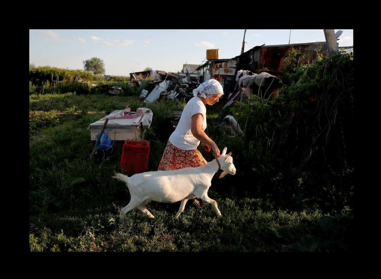 En Aleksandrovka, una aldea de 1.500 habitantes, el campo de fútbol está en el centro de muchas relaciones. Bajo la mirada firme de Lenin, el pequeño campo construido hace cinco años como regalo de la ciudad de Samara sirve a la comunidad para que los jóvenes imiten las habilidades de sus héroes del balón. Sin embargo, para algunos campesinos de la región, la Copa del Mundo es su primer encuentro con el fútbol. Irina Aleekseva, que vive sola en una vieja casa de madera (aparece desplumando una gallina), ha visto las noticias para conocer el juego y relacionarse con sus nietos, que la visitan para ayudarla con la granja. «Debería ser una abuela moderna y saber quiénes son Ronaldo y Messi».