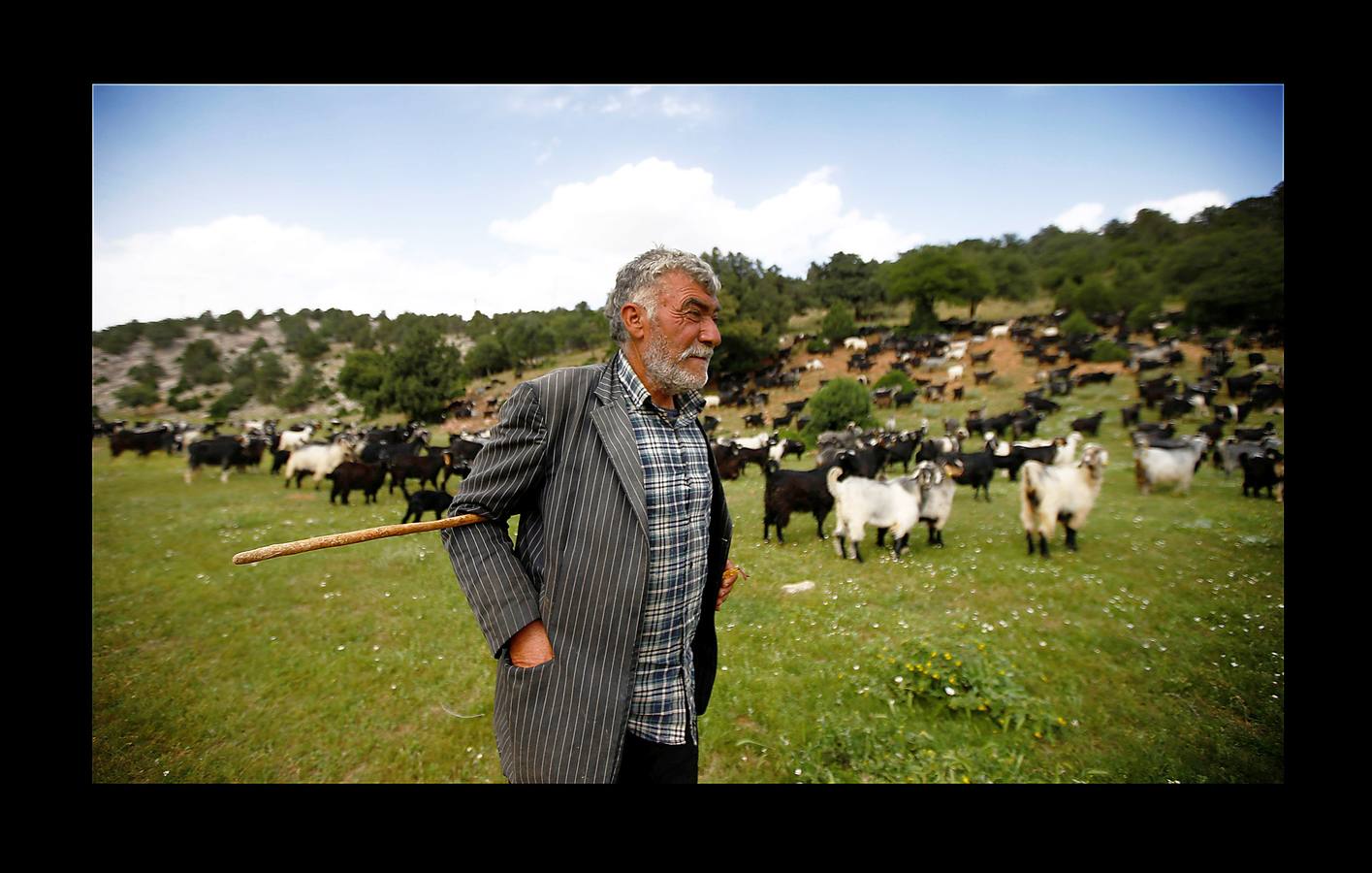 Cuando el verano llega al sur de Turquía, las cabras se inquietan y la familia Gobut (sus ocho miembros son los protagonistas de las fotografías) se embarca en el largo viaje anual al norte con su rebaño de 1.000 cabras. En el camino, plantan tiendas de campaña y por la noche, junto a una fogata, uno de ellos duerme al raso con cuatro perros pastores para protegerse de los lobos, a los que llaman monstruos. Su vida son las cabras; usan la leche para elaborar queso, hacen carpas con la piel y venden un tercio del rebaño en el camino. Cada cabra tiene un nombre y es tratada como parte de la familia. «Nunca los llamamos animales, los llamamos compañeros.» 