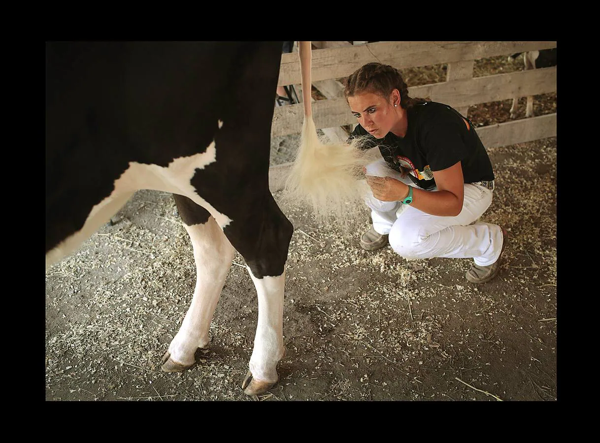 Marengo es una pequeña localidad en el estado de Iowa de alrededor de 2.600 habitantes que, como tantas otras en el medio oeste norteamericano, celebra su tradicional feria de ganado. Los granjeros del estado temen que los efectos de una guerra comercial con China pueda resultar comercialmente devastadora para una economía que viene experimentando un descenso de beneficios desde hace una década y se preparan para el futuro. La celebración de esta feria busca nutrir de conocimientos a una nueva generación de granjeros mediante la enseñanza de los fundamentos en el cuidado y la crianza del ganado.