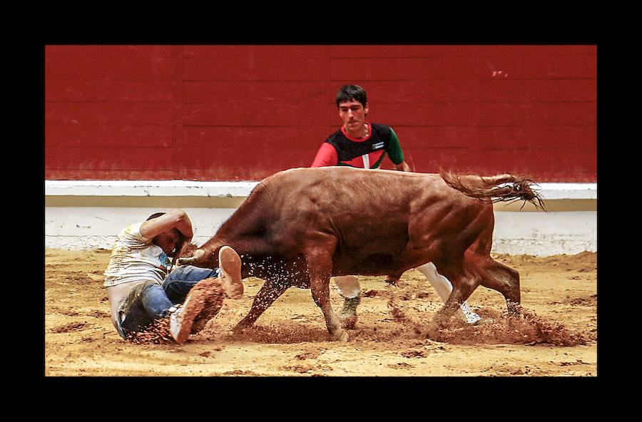 La ofrenda floral, las dianas, la carrera de barricas, las vaquillas... Un sinfín de actividades han servido para divertir a los vitorianos durante este 25 de julio