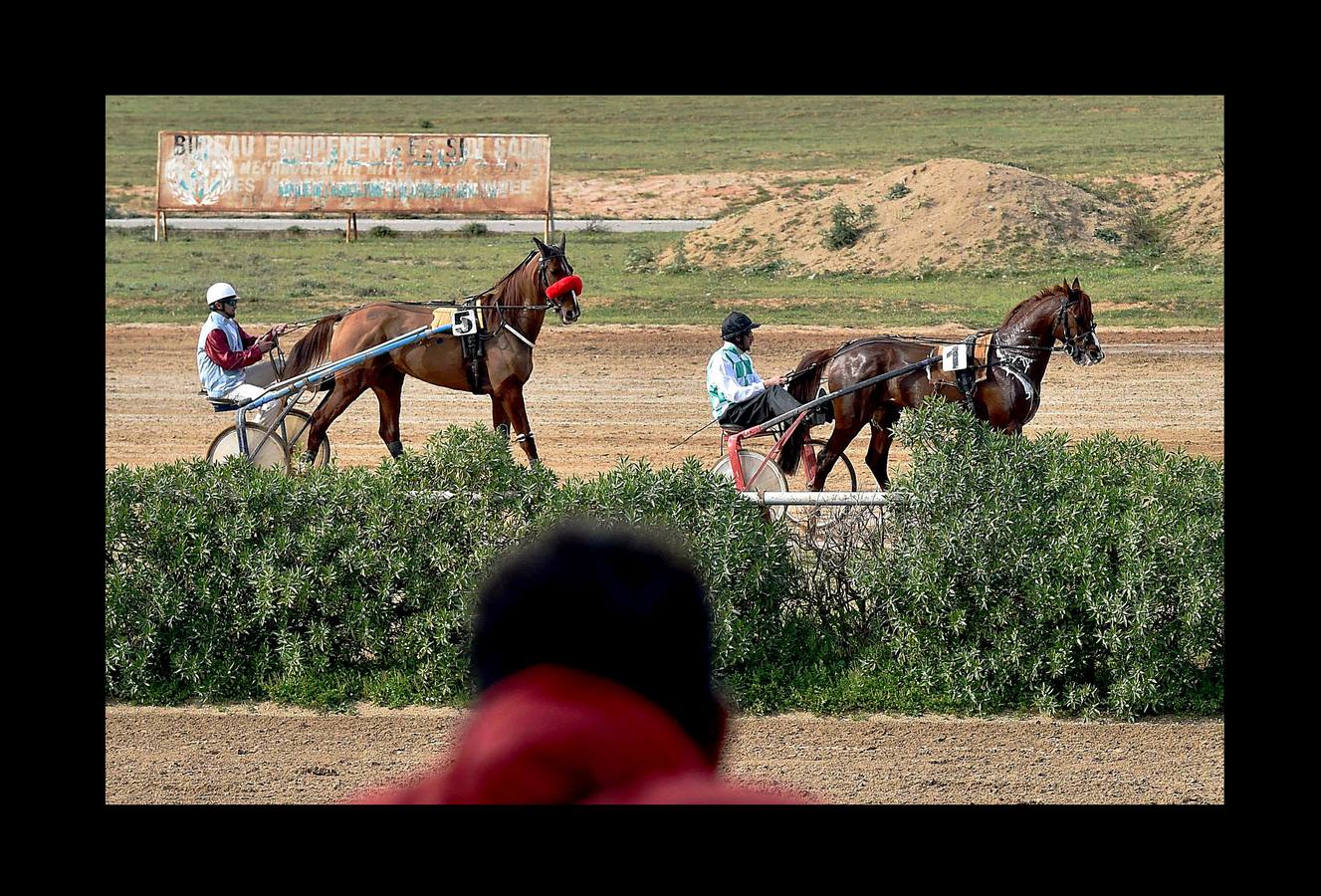 Hasta comienzos de la década de 1980 todos los fines de semana el hipódromo Caroubier, en Argel, recibía la visita de numerosos apostadores y espectadores entusiastas. Pero la equitación ha ido languideciendo en el país y el estadio, cuyas primeras carreras se remontan a 1909, durante la colonización francesa, fue perdiendo esplendor. La guerra civil en los 90 y el aumento del sentimiento religioso acabaron convirtiendo las pistas de carreras en lugares de pecado donde el juego estaba prohibido. Poco queda de un recinto que fue conocido como el «Petit Longchamp» en referencia a su homólogo parisino.