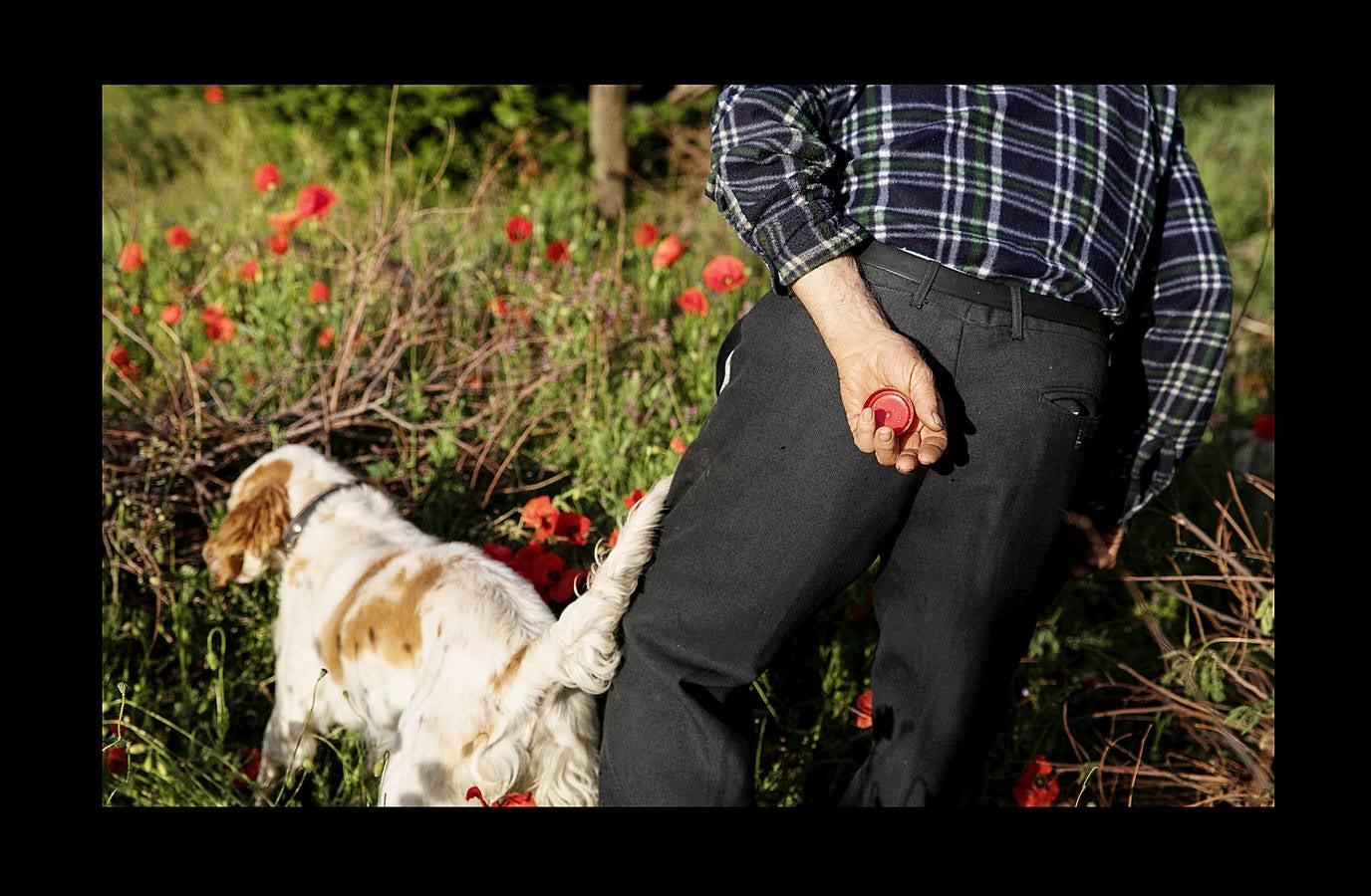 Durante más de 30 años, Juan Martín Colomer y su esposa Sinforosa Sancho han vivido solos en La Estrella, un pueblo del noreste de Aragón, con una densidad de población inferior a 8 habitantes por kilómetro cuadrado. «Todos se han ido, somos los tontos que nos hemos quedado -ríe Sinforosa, que acaba de cumplir 85 años-. Tenemos gallinas, conejos, tierra y cuando hace frío prendemos fuego y dormimos bajo mantas.» Algunos estudios apuntan que esta zona de España, dos veces mayor que Bélgica, se convertirá en la menos poblada de Europa en poco tiempo. «Si no hay niños no hay vida -dice Juan Martín-, pero hemos crecido en soledad y nos gusta. La Estrella morirá con nosotros.»