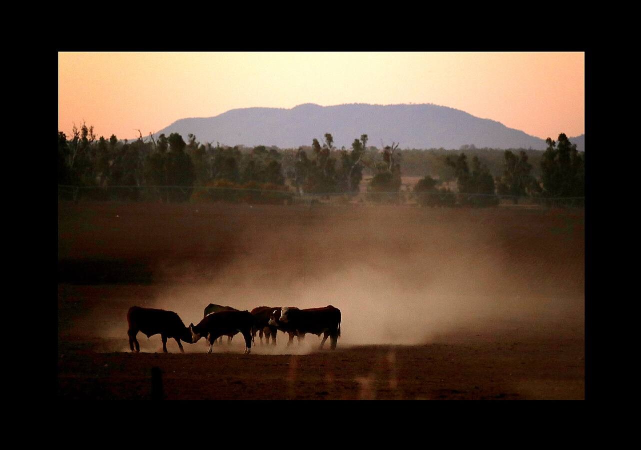 Desde el suelo, la sequía de Australia se ve como una mancha de polvo sin rasgos distintivos. Pero desde el aire, esta tierra que se agrieta bajo un sol abrasador, se transforma en una mezcla de colores y texturas que recuerdan a ciertas pinturas abstractas. La peor sequía que se recuerda está barriendo grandes zonas del país (el 95 % de Nueva Gales del Sur) y ha dejado a los agricultores haciéndose muchas preguntas sobre el futuro. «Las sequías se parecen a un cáncer que te consume, dicen algunos, y cada vez se vuelve más seco, más severo e impacta más en tu vida.»