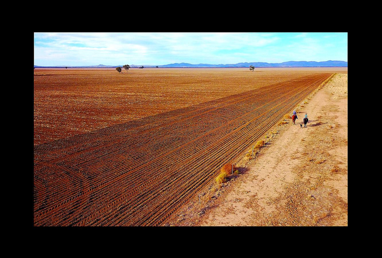 Desde el suelo, la sequía de Australia se ve como una mancha de polvo sin rasgos distintivos. Pero desde el aire, esta tierra que se agrieta bajo un sol abrasador, se transforma en una mezcla de colores y texturas que recuerdan a ciertas pinturas abstractas. La peor sequía que se recuerda está barriendo grandes zonas del país (el 95 % de Nueva Gales del Sur) y ha dejado a los agricultores haciéndose muchas preguntas sobre el futuro. «Las sequías se parecen a un cáncer que te consume, dicen algunos, y cada vez se vuelve más seco, más severo e impacta más en tu vida.»