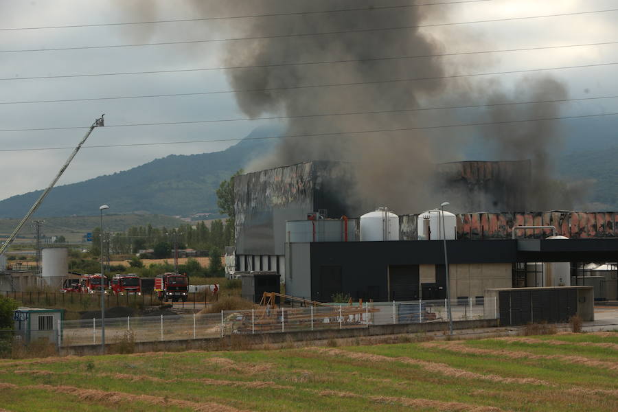 Fotos: Incendio en la planta de la quesería Aldanondo en Salvatierra