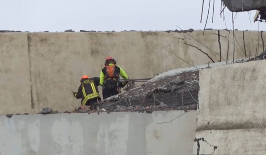 Fotos: Las imágenes del desplome del puente en Génova