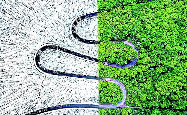 'Serpiente climatológica'. Ganadora en el apartado Abstracta. Carretera sinuosa entre un paisaje partido por el fuego en Rumanía. 