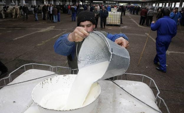Un ganadero vierte en un depósito leche ordeñada en el ferial de Torrelavega.
