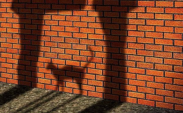 Una asociación animalista denuncia la muerte de cinco gatos en Ortuella