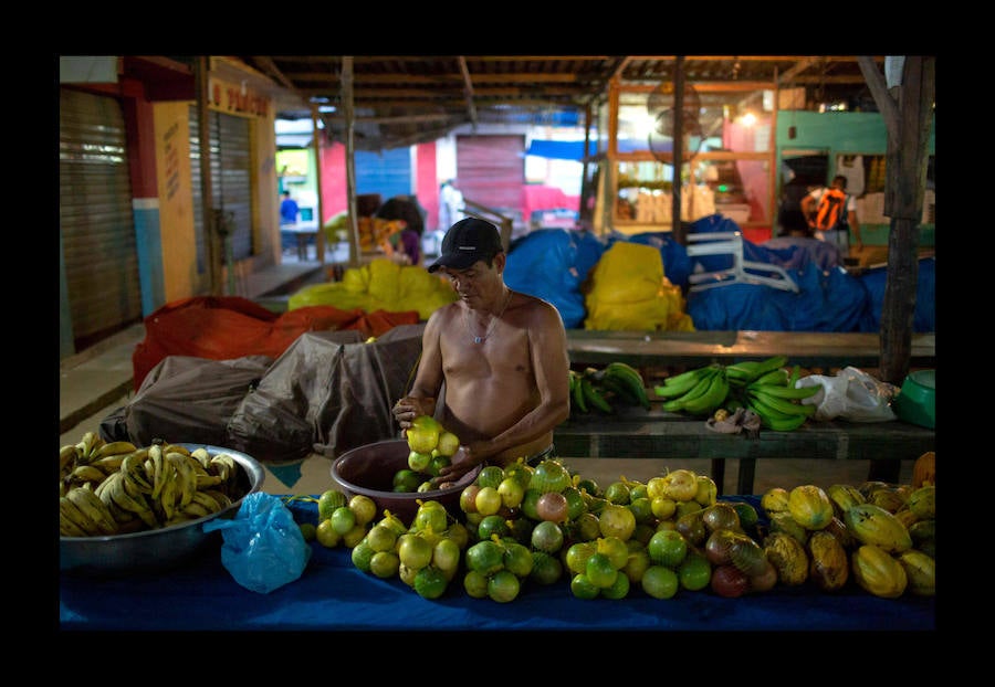 Científicos investigan sobre delfines de río en la Reserva de Desarrollo Sostenible Mamiragua en el estado de Amazonas, Brasil.