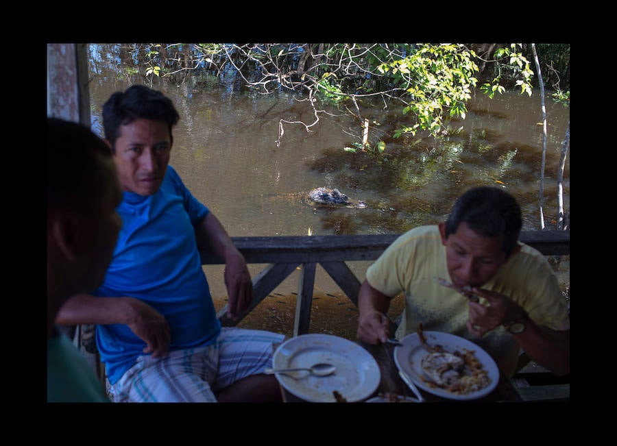 Científicos investigan sobre delfines de río en la Reserva de Desarrollo Sostenible Mamiragua en el estado de Amazonas, Brasil.