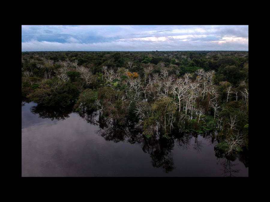 Científicos investigan sobre delfines de río en la Reserva de Desarrollo Sostenible Mamiragua en el estado de Amazonas, Brasil.