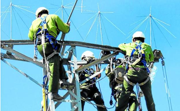 Una cuadrilla de operarios actúa sobre uno de los apoyos eléctricos para impedir que las aves instalen sus nidos