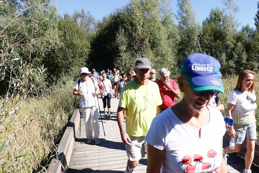 Fotos: La fotos de la VII Marche Solidaria Green de EL CORREO