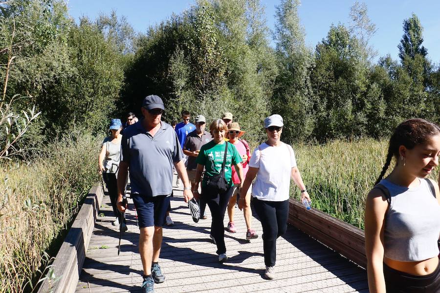 Fotos: La fotos de la VII Marche Solidaria Green de EL CORREO