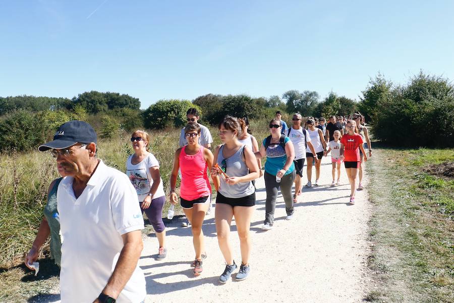 Fotos: La fotos de la VII Marche Solidaria Green de EL CORREO