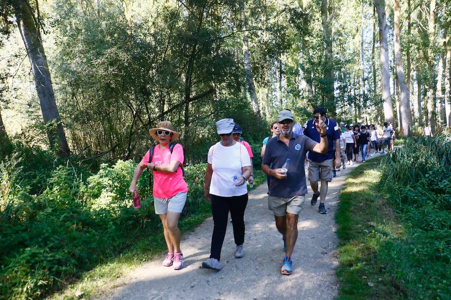 Fotos: La fotos de la VII Marche Solidaria Green de EL CORREO