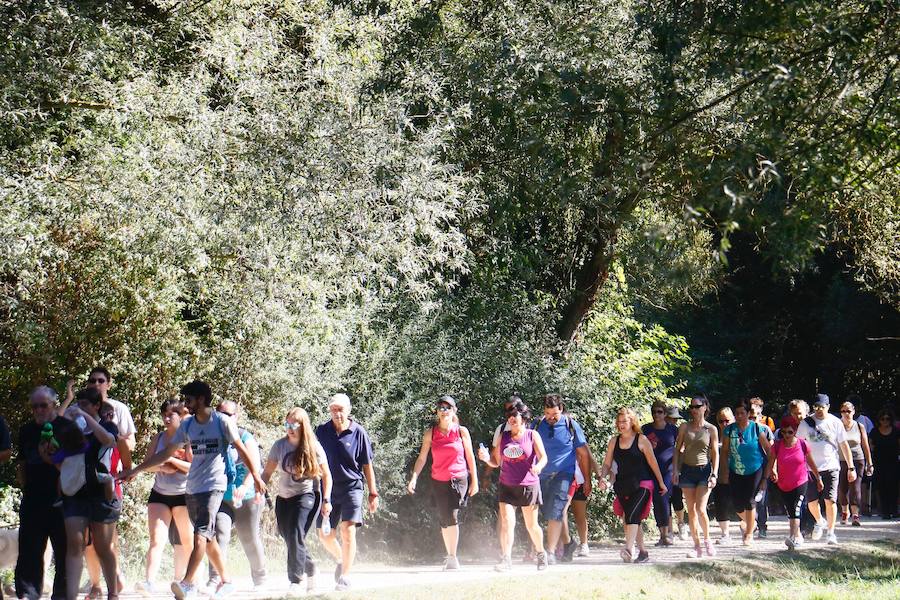 Fotos: La fotos de la VII Marche Solidaria Green de EL CORREO