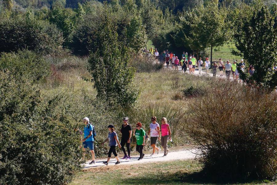 Fotos: La fotos de la VII Marche Solidaria Green de EL CORREO