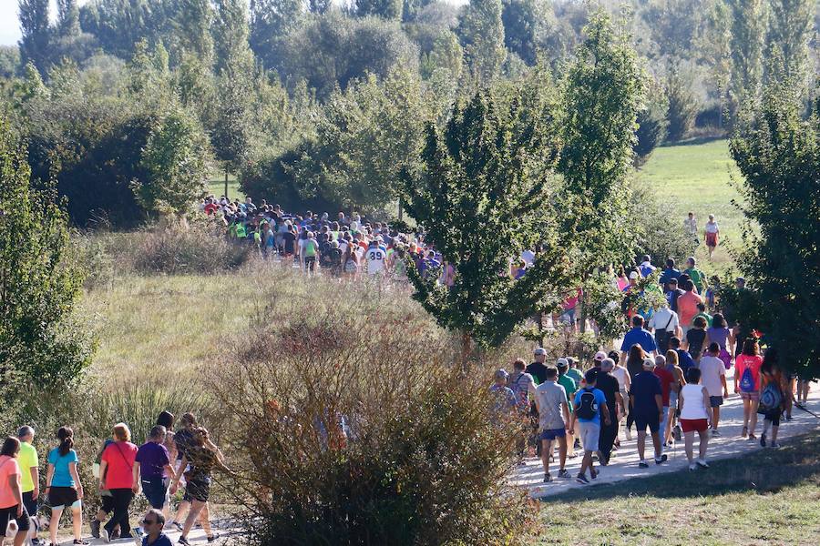 Fotos: La fotos de la VII Marche Solidaria Green de EL CORREO