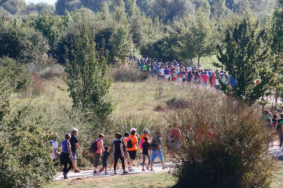 Fotos: La fotos de la VII Marche Solidaria Green de EL CORREO