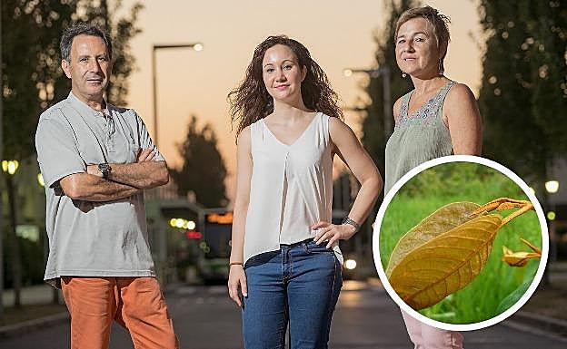  José Ignacio Ruiz-Sanz, Jenifer Trepiana y M. Begoña Ruiz-Larrea con su objeto de estudio.