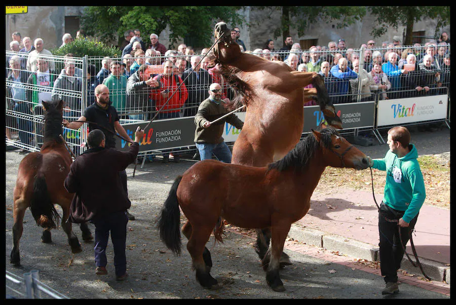 Fotos: La feria de Salvatierra, en imágenes