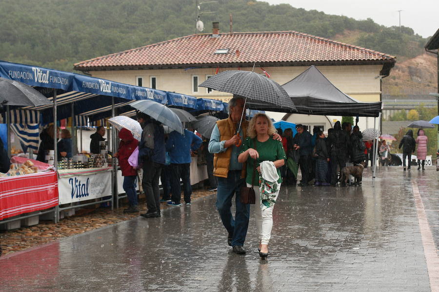 Fotos: Cientos de visitantes rinden culto a la sabrosa pinta alavesa en Pobes