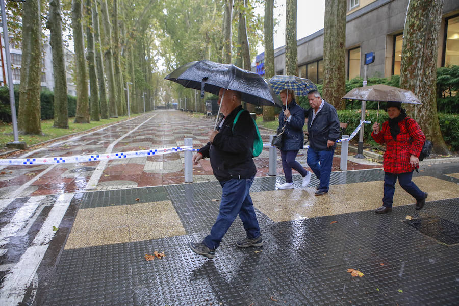 Fotos: Viento, lluvia intensa y balsas de agua en este domingo en Vitoria