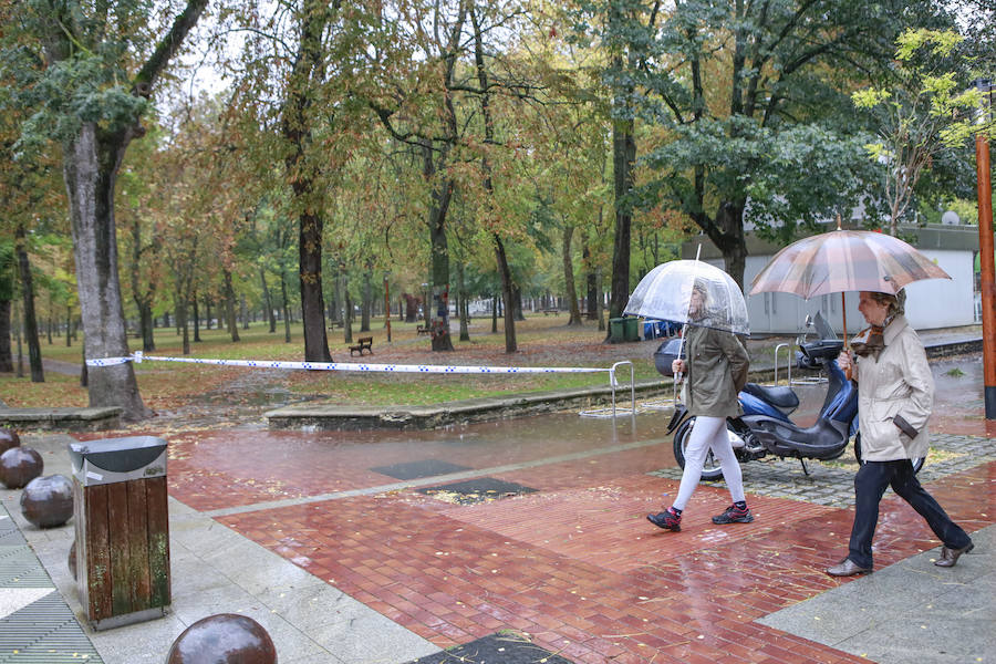 Fotos: Viento, lluvia intensa y balsas de agua en este domingo en Vitoria