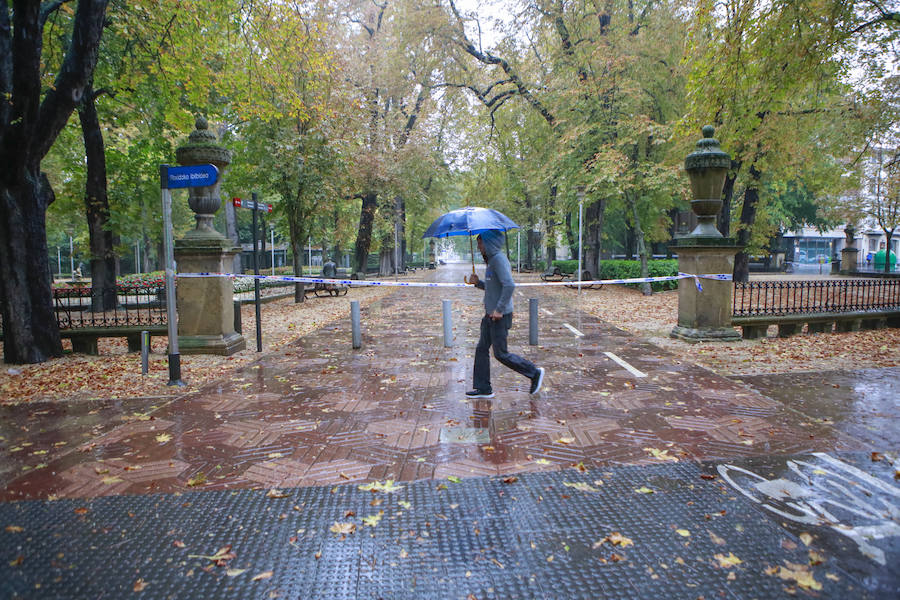 Fotos: Viento, lluvia intensa y balsas de agua en este domingo en Vitoria