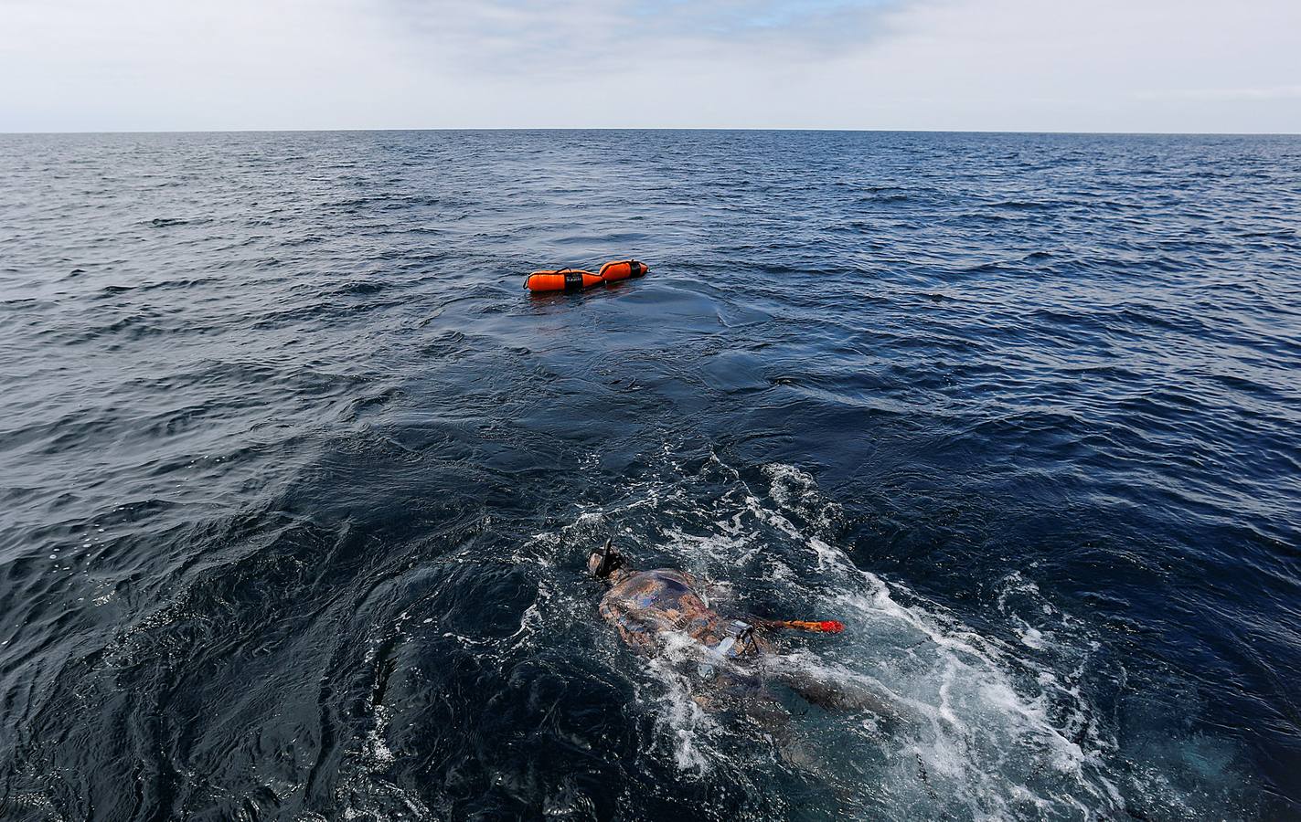 A principios de septiembre, Ryder Devoe, de 19 años, emergió de las azules aguas de San Diego con su neopreno de camuflaje, gritando: «lo atrapé». Un hermoso ejemplar de atún rojo de más de 90 kilos, una especie que apenas se veía en las costas californianas desde hacía décadas, había sido alcanzado por su arpón. Devoe, a quien además del buceo libre también apasiona el surf, se siente feliz. «Este año mi objetivo es cabalgar las olas más grandes de México y capturar otro atún de aleta amarilla.»